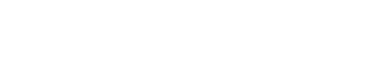 NANDES